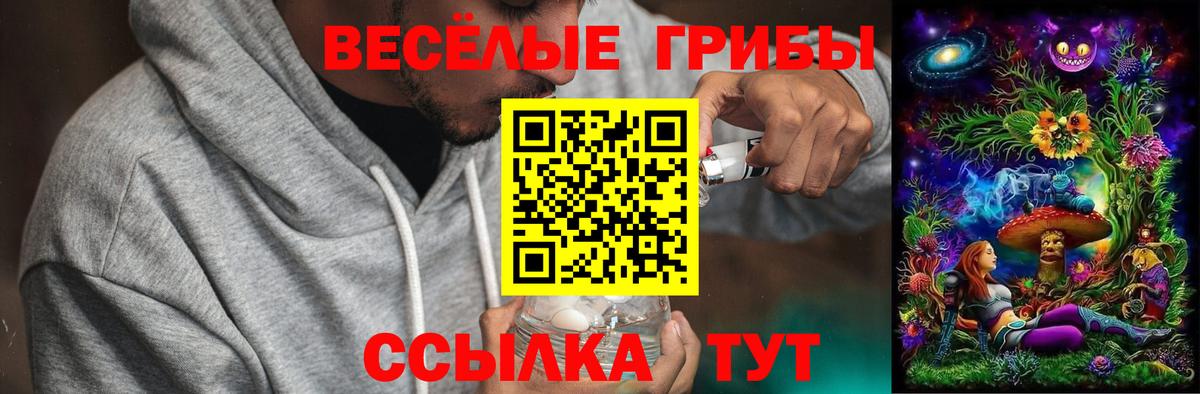 Галлюциногенные грибы прущие грибы Нововоронеж